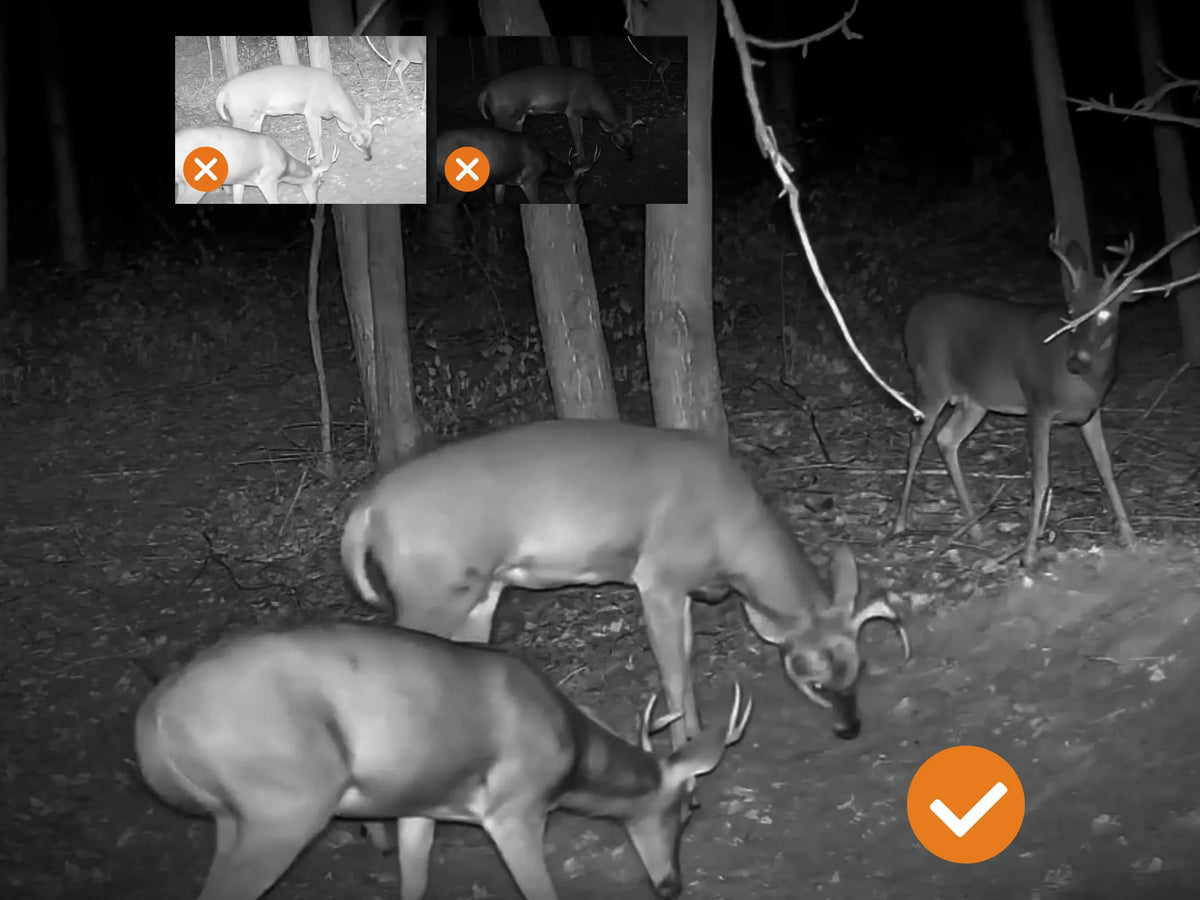 GardePro E9 Wi-Fi trail camera captures clear night videos with no glow, using unique imaging algorithms for enhanced clarity, the best Wi-Fi trail camera.