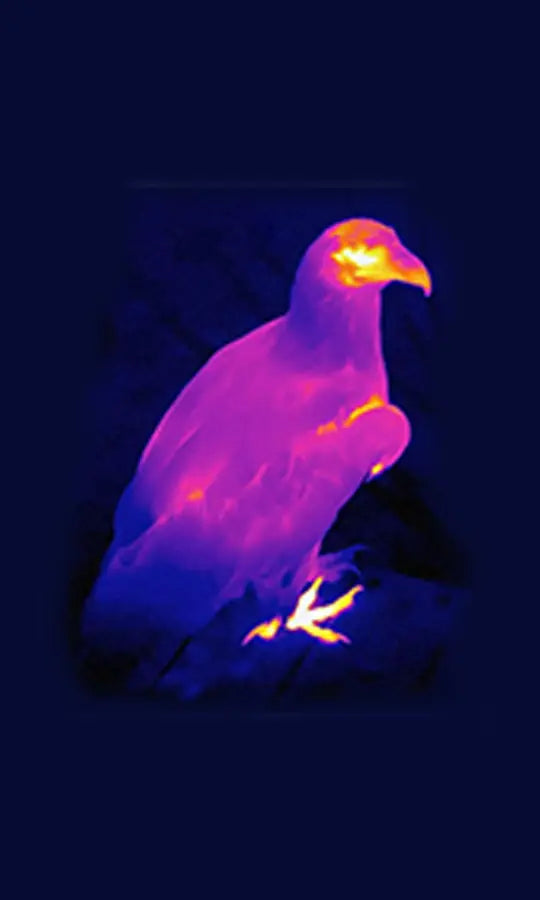 GardePro M21 Thermal Monocular Bird Watching Mode