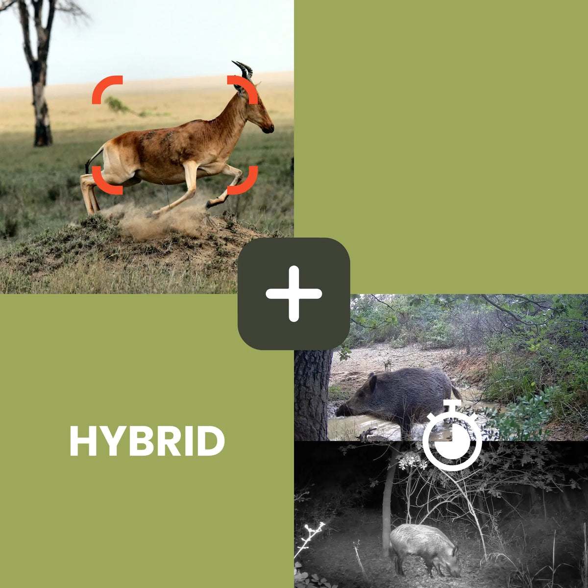 GardePro Trail Camera Hybrid Mode