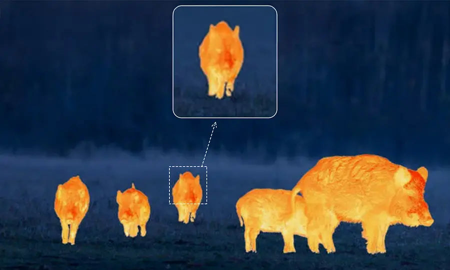 GardePro M21 Thermal Monocular Picture in Picture
