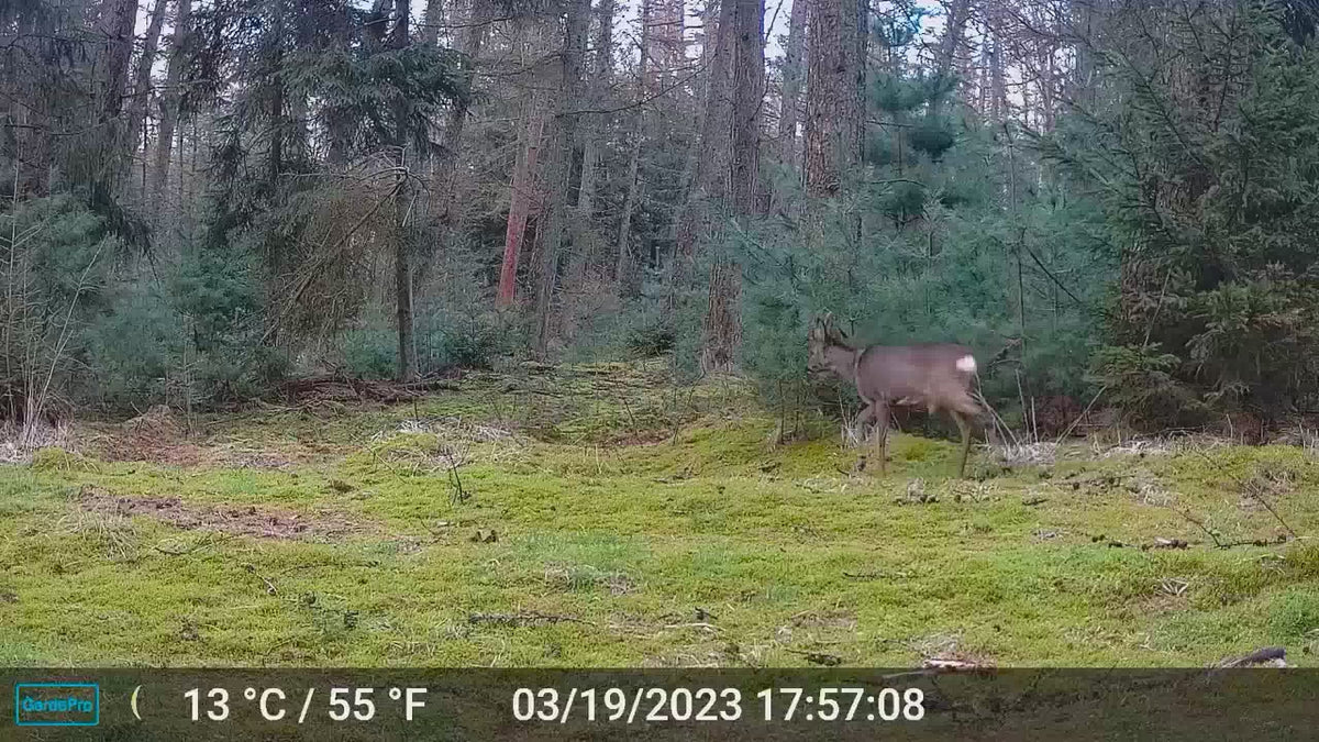 Carica il video: GardePro WiFi Trail Camera E8