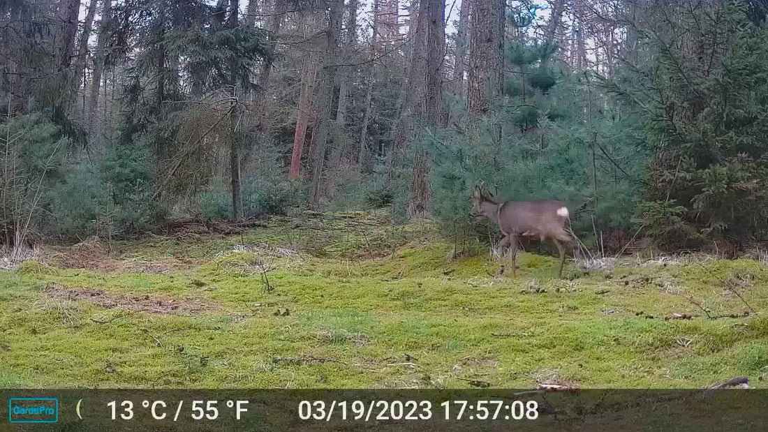 Carica il video: GardePro WiFi Trail Camera E8