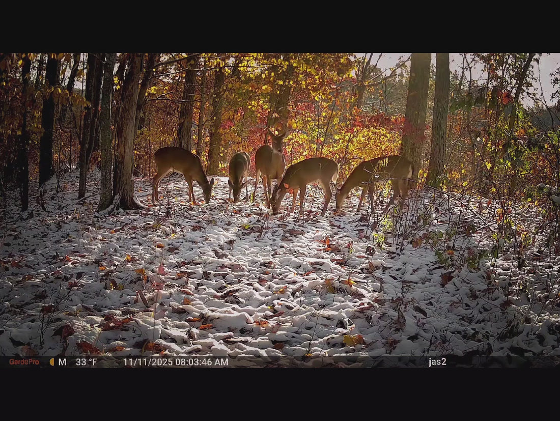 Load video: 