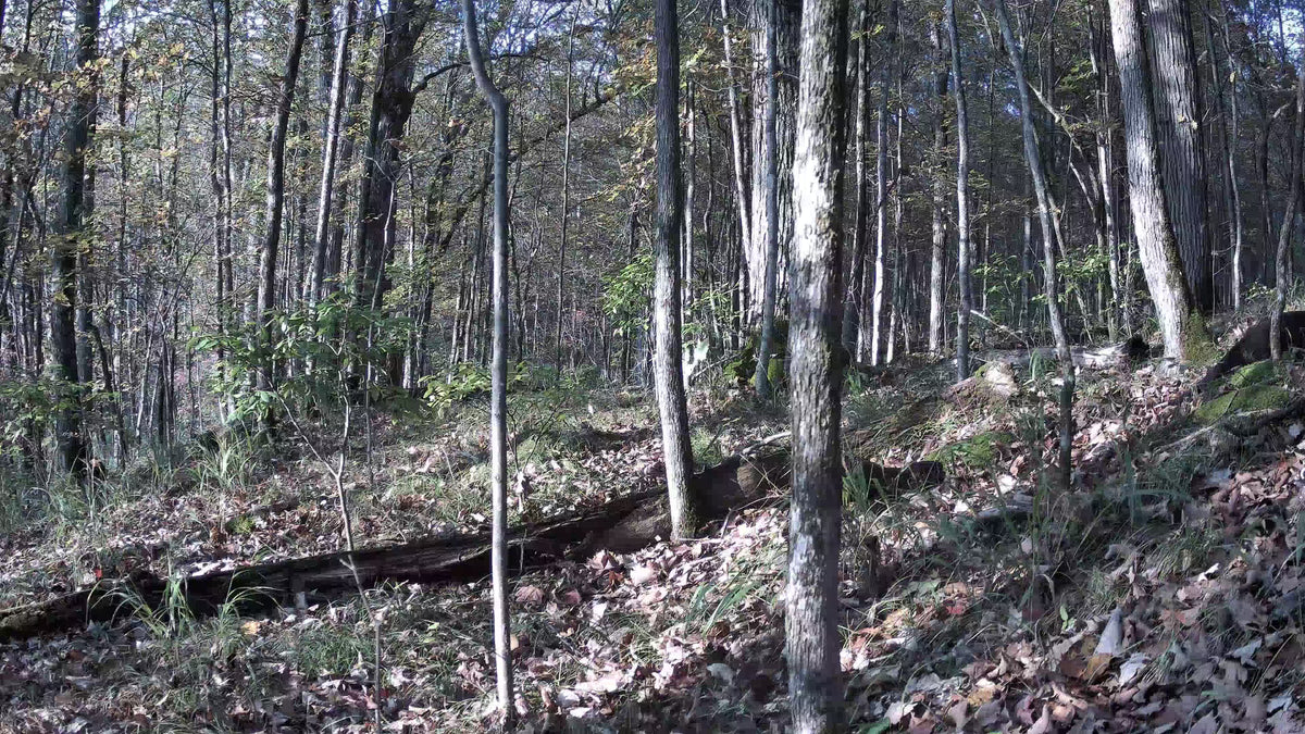 Load video: GardePro A80 Wi-Fi trail camera features 4K video and superior audio quality, capturing every animal detail.