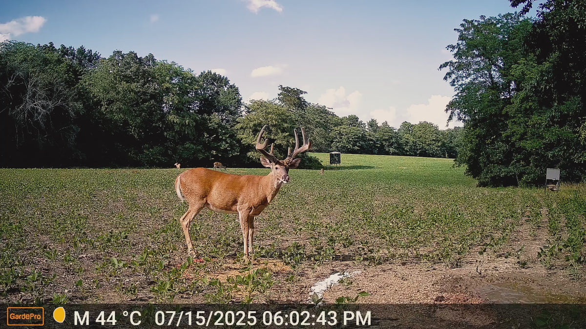 Video laden: 