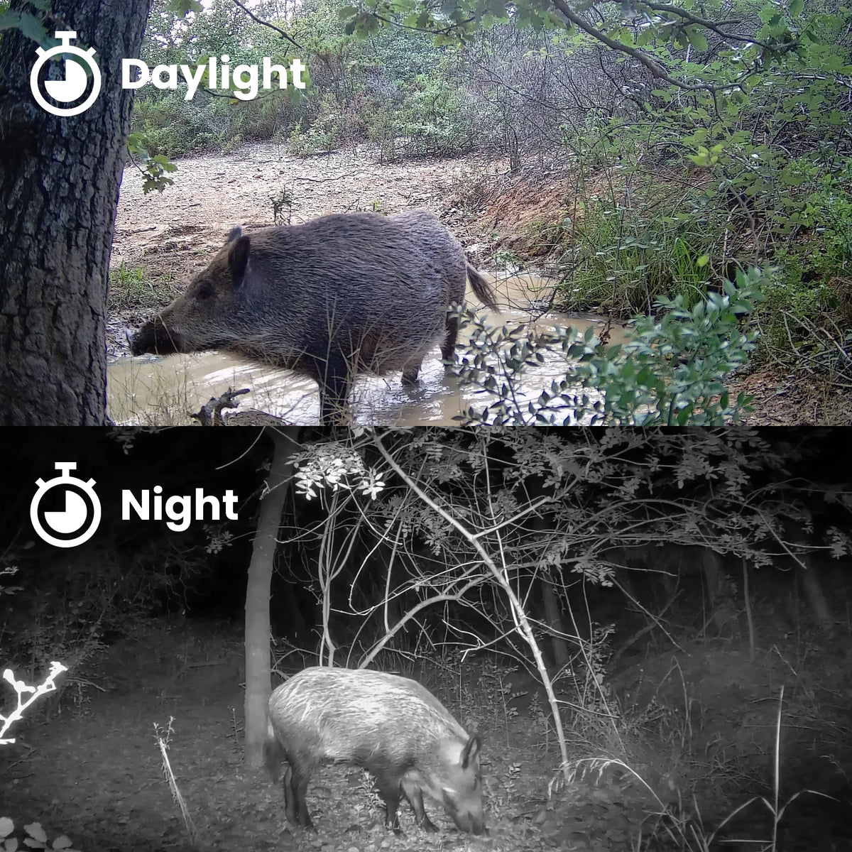 GardePro Trail Camera Timelapse Mode