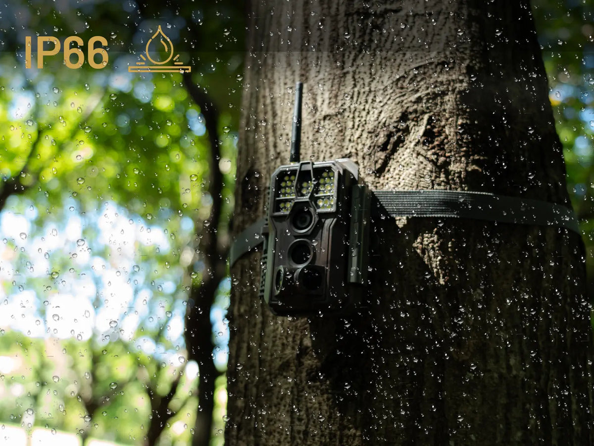 GardePro WiFi Trail Camera E8PWF With White Flash & Rechargeable Battery & 32G Built-in Memory SD Card Water Proof