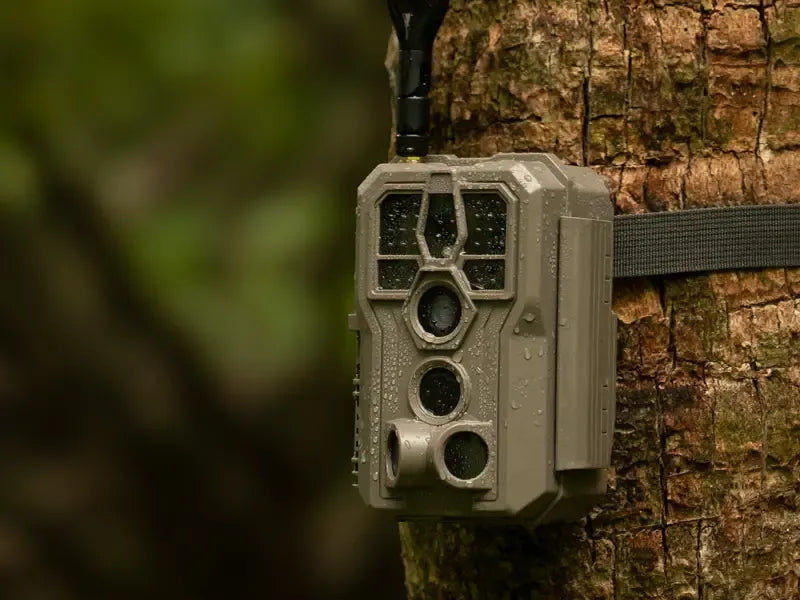 GardePro X66 Pro cellular trail camera mounted on a tree, showcasing its weatherproof design in rainy conditions