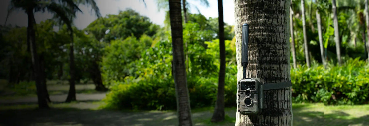 GardePro X20 cellular trail camera mounted on a tree
