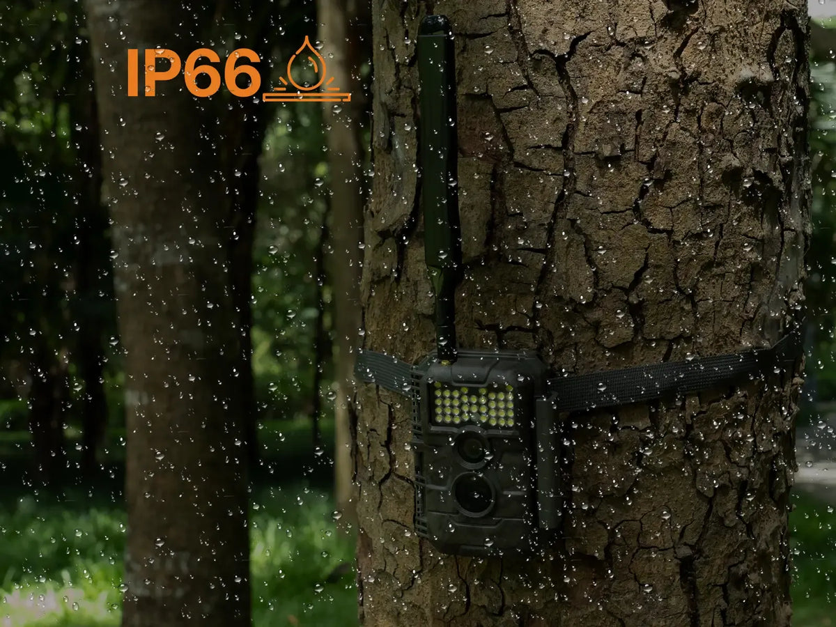 GardePro X20WF cellular trail camera mounted on a tree in the rain, highlighting its IP66 waterproof and dustproof rating