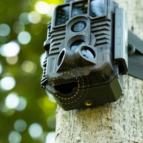 Cellular trail camera with a visible DC 12V input port on its bottom.