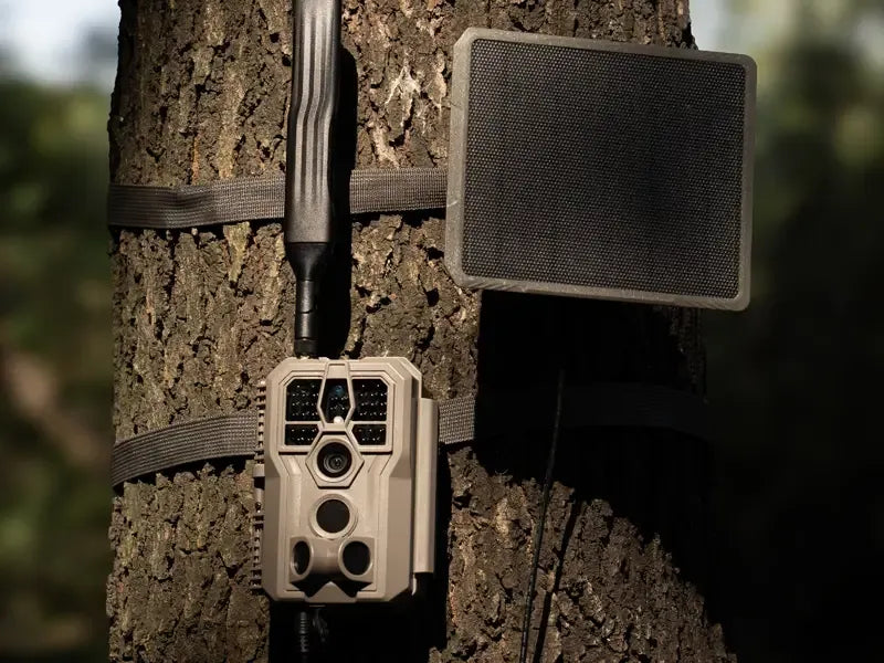 GardePro X66 Pro cellular trail camera mounted on a tree with a solar panel, demonstrating a complete outdoor monitoring setup